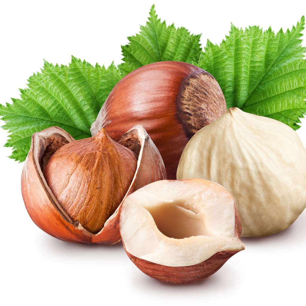 Hazelnut